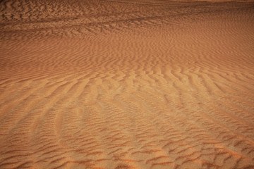 Dubai desert