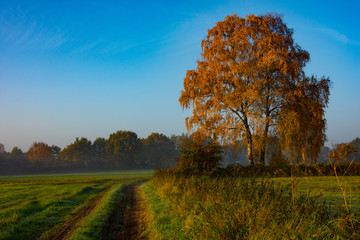 Herbst