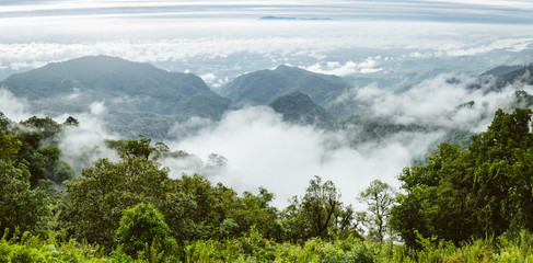 mountain with misty fog in thailand