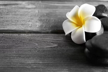 Poster White plumeria flower with pebbles on wooden background © Africa Studio