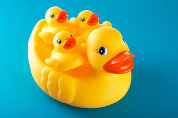 Yellow rubber duck and little ducky isolated on blue