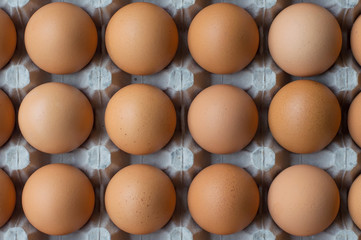 Eggs in stock