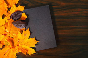 Old black book on the table among yellow leafs