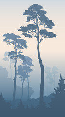 Vertical illustration of forest with tall pines.
