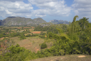 Tropical view of the Valle de Vi–ales, in central Cuba