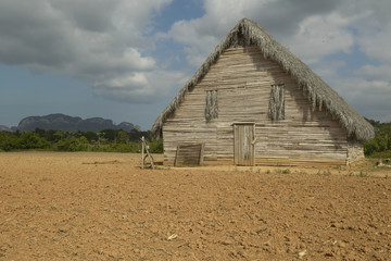 Farm field with barn in the Valle de Vi–ales, in central Cuba