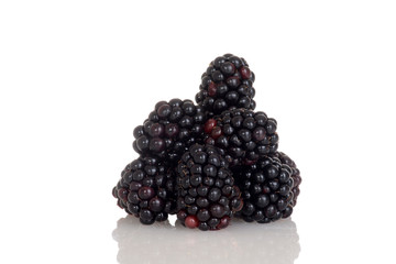 pile of blackberries