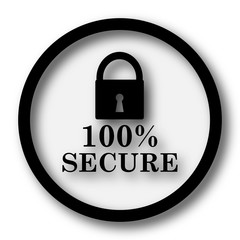 100 percent secure icon