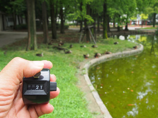 バードウォッチング