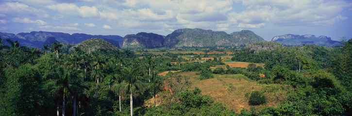 Fototapeta na wymiar A panoramic view of the Valle de Vi–ales, in central Cuba
