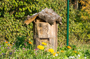 Insektenhotel in Blumenwiese