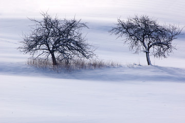 Fototapeta premium Winterzeit