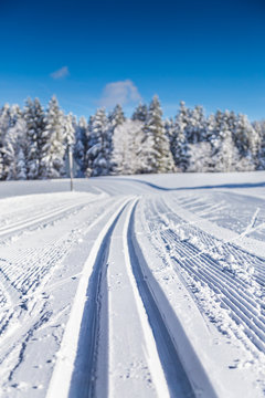Cross-country ski track in winter wonderland scenery on a sunny day with blue sky