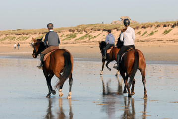Les cavaliers sur la plage