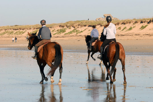 Les cavaliers sur la plage