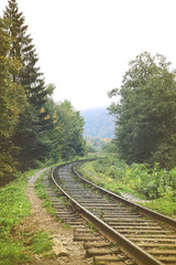 Railway track over green trees background