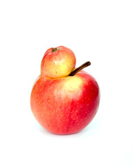 Red double Conjoined apple on white background