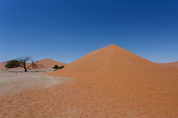 Dune 45 in sossusvlei Namibia with dead tree