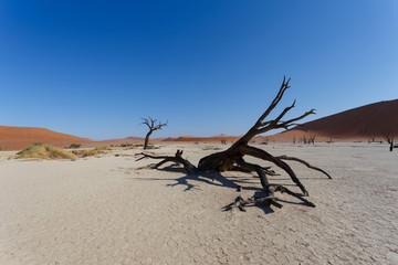 beautiful sunrise landscape of hidden Dead Vlei