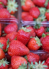 strawberry fruits