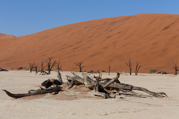 Obraz premium beautiful sunrise landscape of hidden Dead Vlei