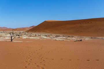 beautiful sunrise landscape of hidden Dead Vlei