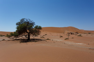 beautiful sunrise landscape of hidden Dead Vlei