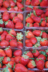 strawberry fruits