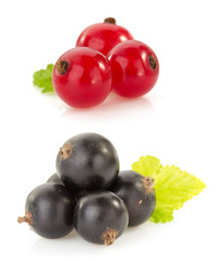 currants on white