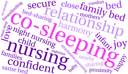 Co-Sleeping Word Cloud