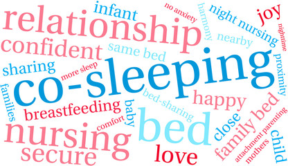 Co-Sleeping Word Cloud