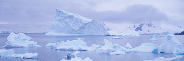 Fototapeta na wymiar Panoramic view of glaciers and icebergs in Paradise Harbor, Antarctica