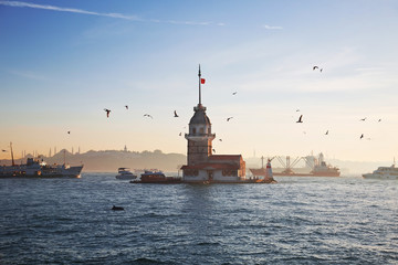 Ships, seagull, dolphin, Maiden tower in the  Bosphorus early in the misty morning