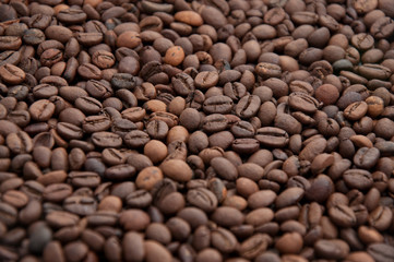 Coffee beans close-up