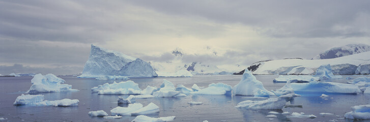 Panoramic view of glaciers and icebergs in Paradise Harbor, Antarctica