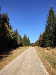 Wanderweg Kaltenbronn