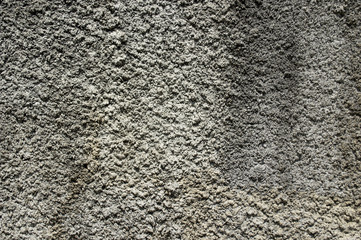 plaster textured wall