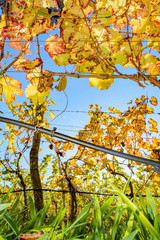 Nafen im Villnoesstal