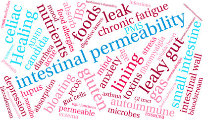 Obraz premium Intestinal Permeability Word Cloud