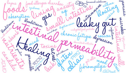 Intestinal Permeability Word Cloud