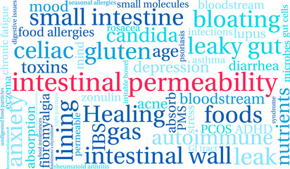 Intestinal Permeability Word Cloud