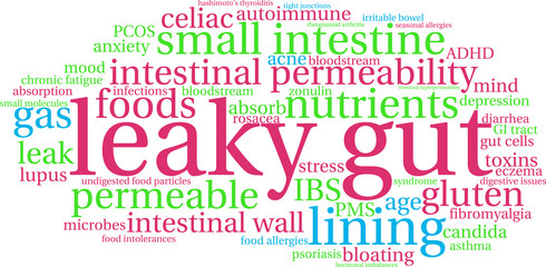Fototapeta premium Leaky Gut Word Cloud