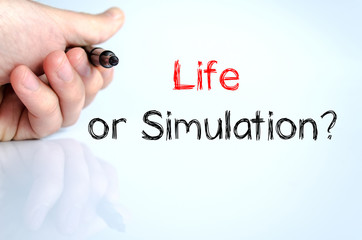 Life or simulation text concept