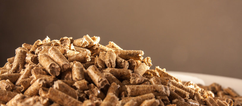 Granul&eacute;s de bois