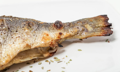 Grilled sea bass closeup.
