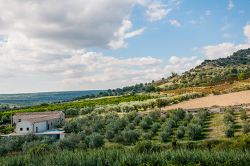 Fototapeta na wymiar View of the countryside Noto in Sicily 