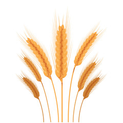 Vector Gold wheat