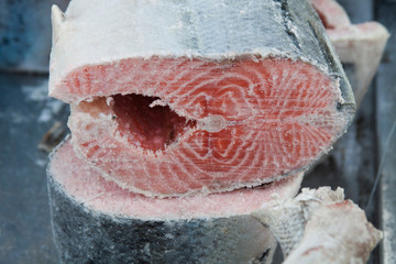 frozen red fish