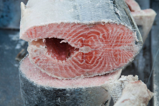 frozen red fish