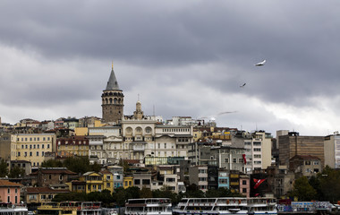 Fototapeta premium Galata Kulesi 